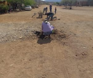 REFORESTANDO EN DESTACAMENTO