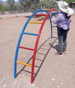 MANTENIMIENTO A PARQUE