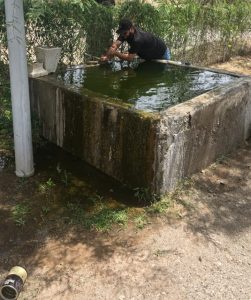 LABORES DE MANTENIMIENTO