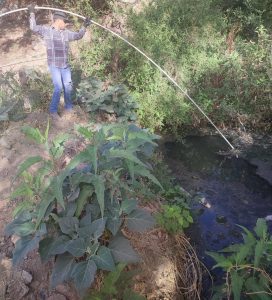 REPARACIONES POR PARTE DE AGUA POTABLE