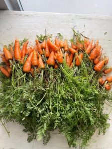 PRODUCCIÓN CASA SOMBRA